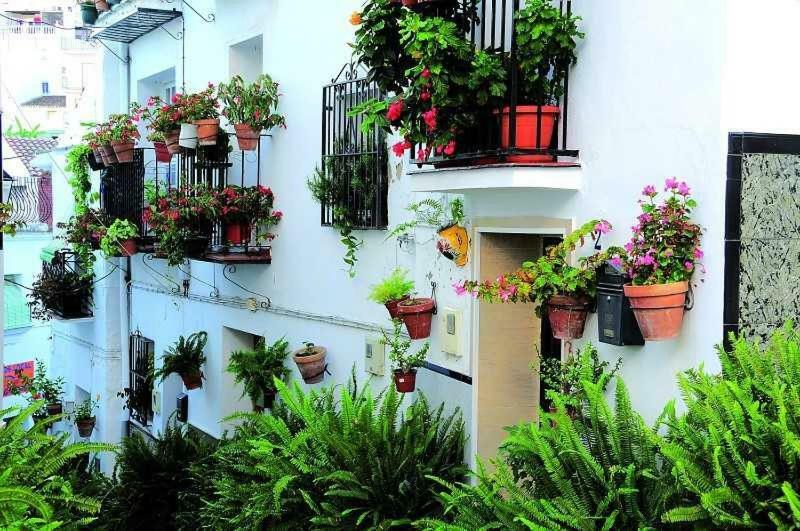 Casa Tita Laura Villa Algarrobo Kültér fotó